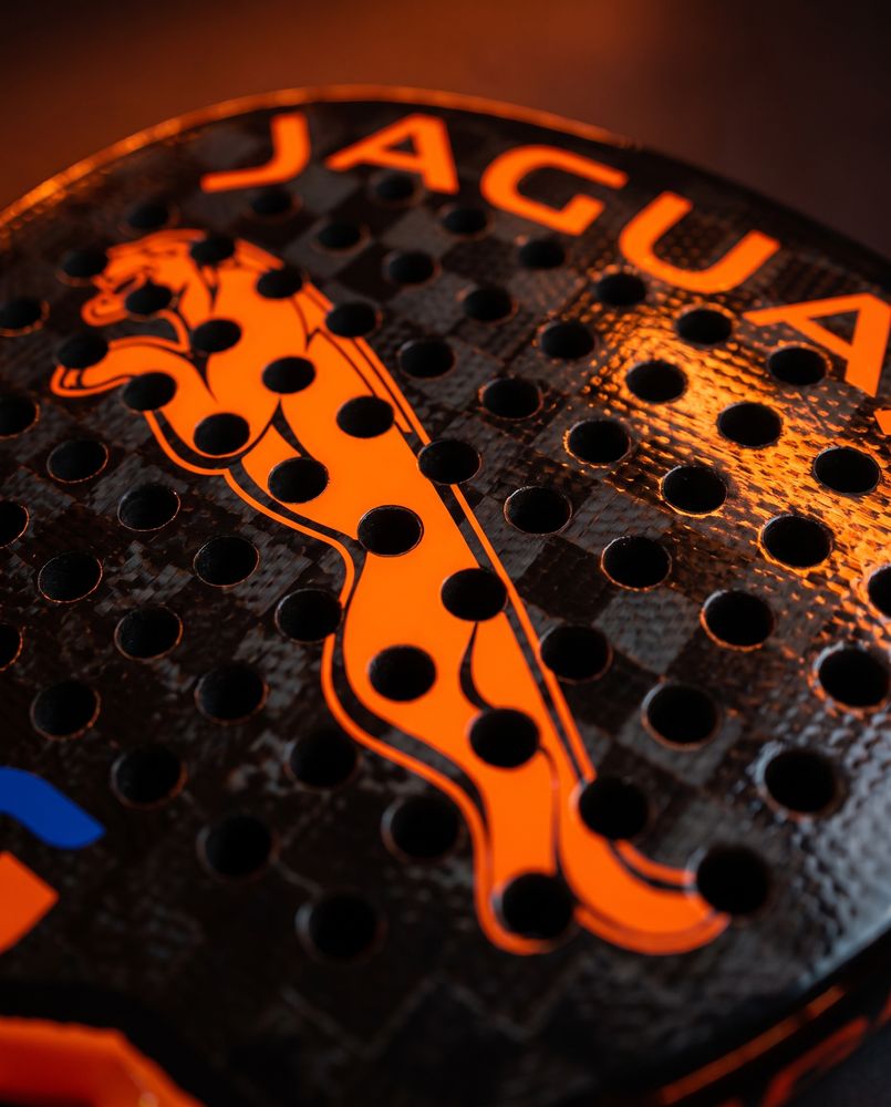 Jaguar CXR-9 detail
